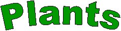 Plants